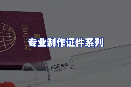 专业制作证件系列